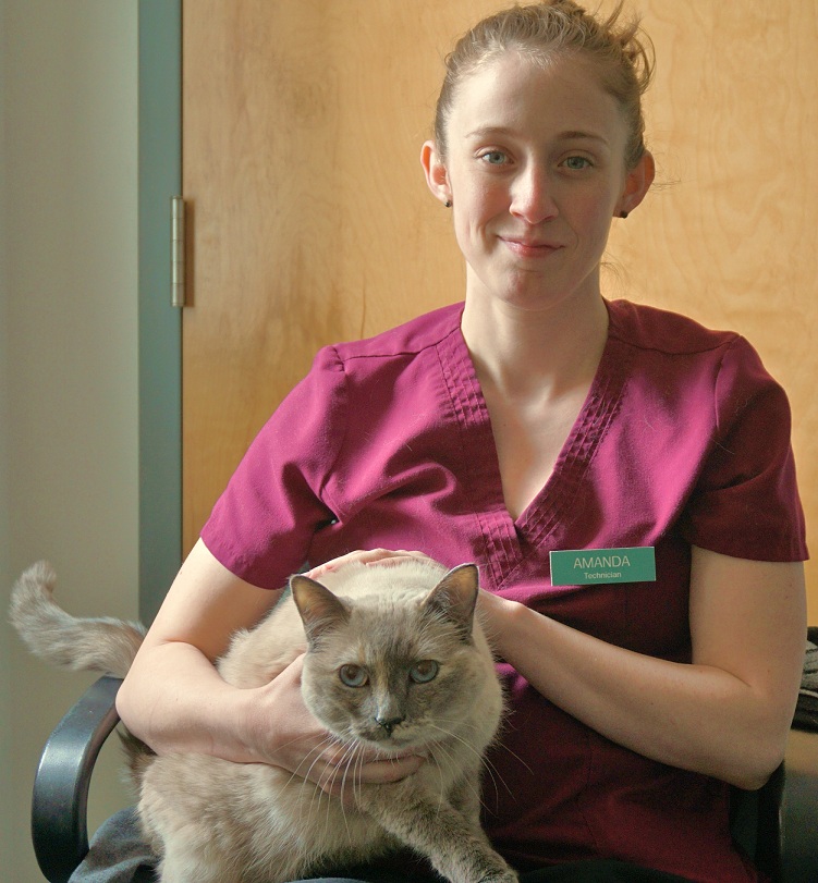 Amanda Holley, CVT Veterinary Technician