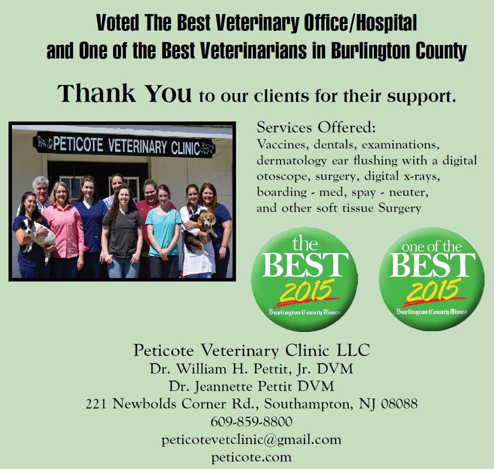 Peticote Voted the BEST of 2015