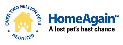 Home Again Logo