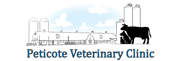 Peticote Veterinary Clinic Logo