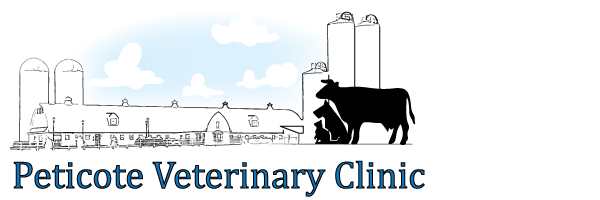 Peticote Veterinary Clinic Logo